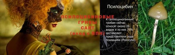 стафф Балабаново